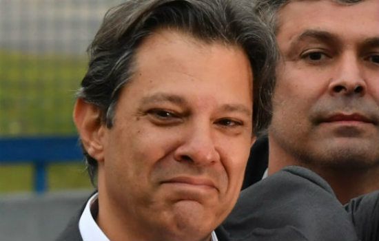 Fernando Haddad, El delfín de Lula