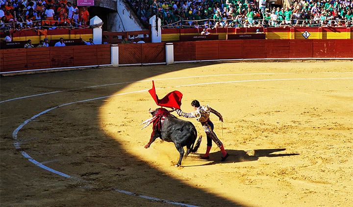 Una corrida de toros es parte del programa de festividades