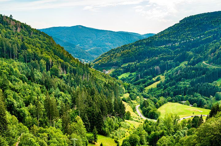 Parque Nacional de la Selva Negra (Alemania) 