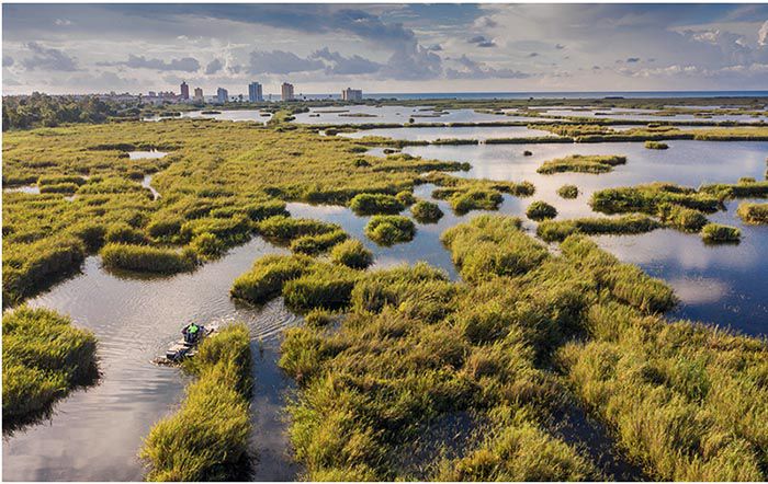 NATURALEZA Y TURISMO COMPATIBLES