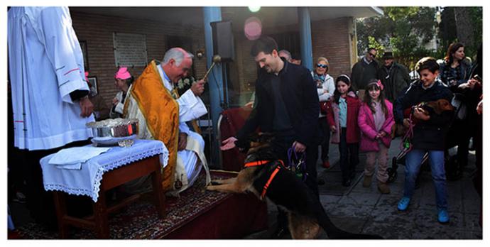 Del Ascetismo a la Protección Animal: La Inspiradora Historia de San Antonio Abad en Sevilla