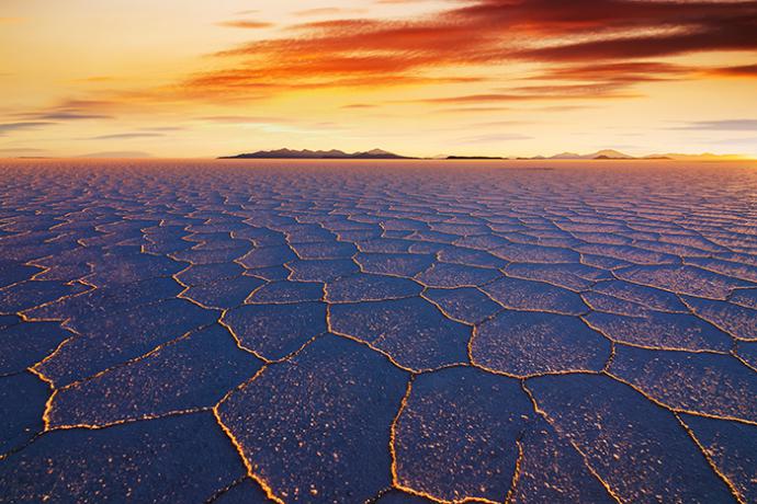 Salar de Uyuni, Biolivia