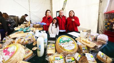 Elaborado el queso fresco más grande de Europa en la VIII Feria de la Leche de Ruiloba